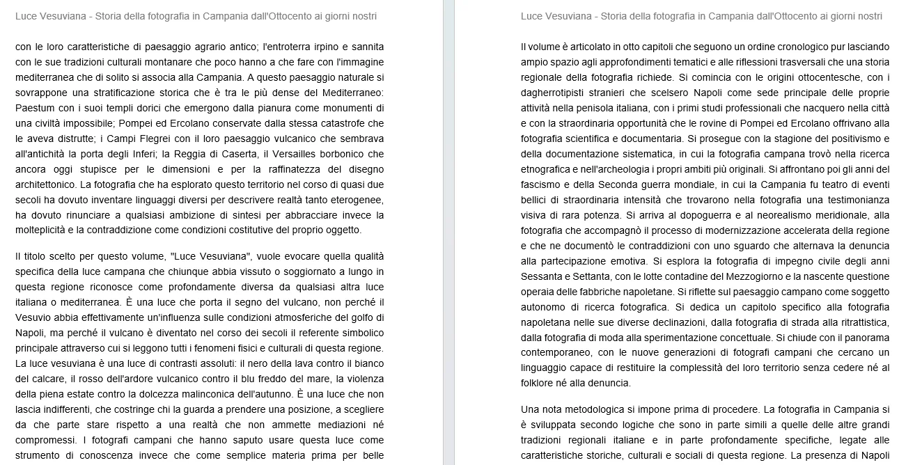 Luce Vesuviana - Storia della fotografia in Campania dall'Ottocento ai giorni nostri 2 Luce Vesuviana - Storia della fotografia in Campania dall'Ottocento ai giorni nostri - immagine 2